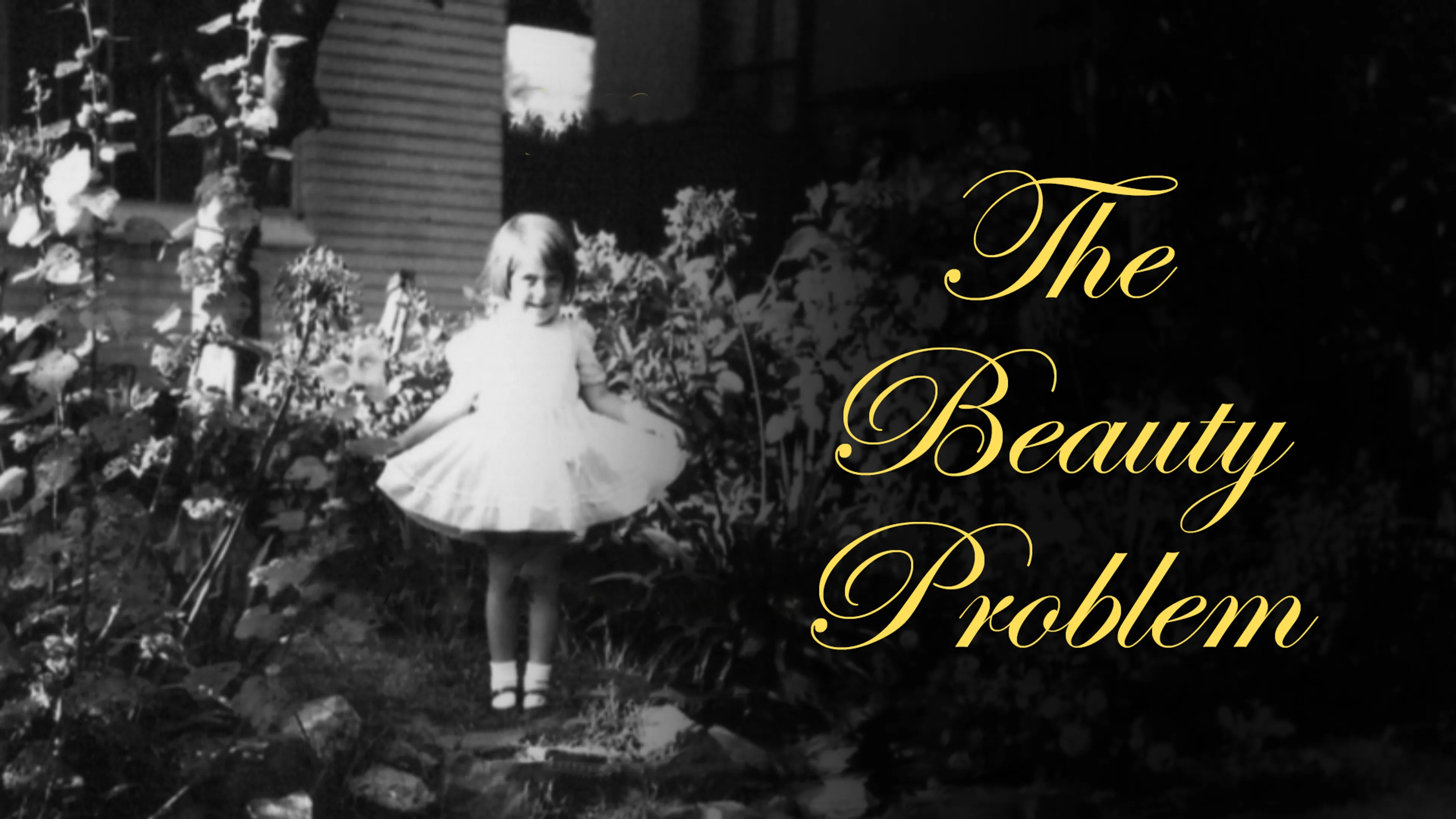 The Beauty Problem poster
